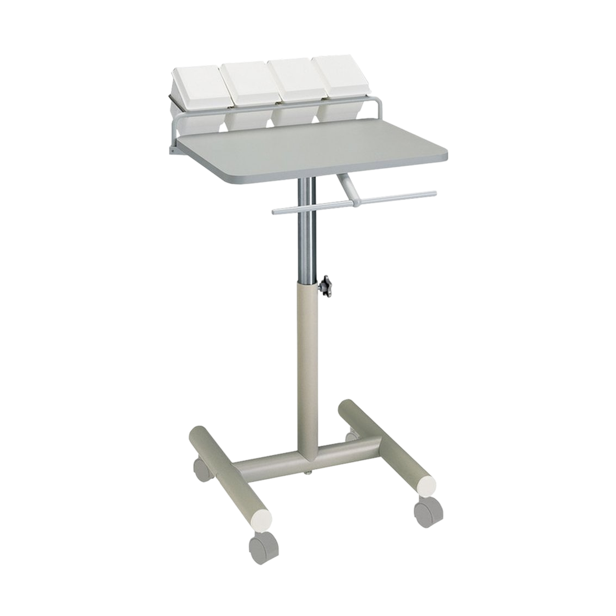 Mobile Delivery Systems