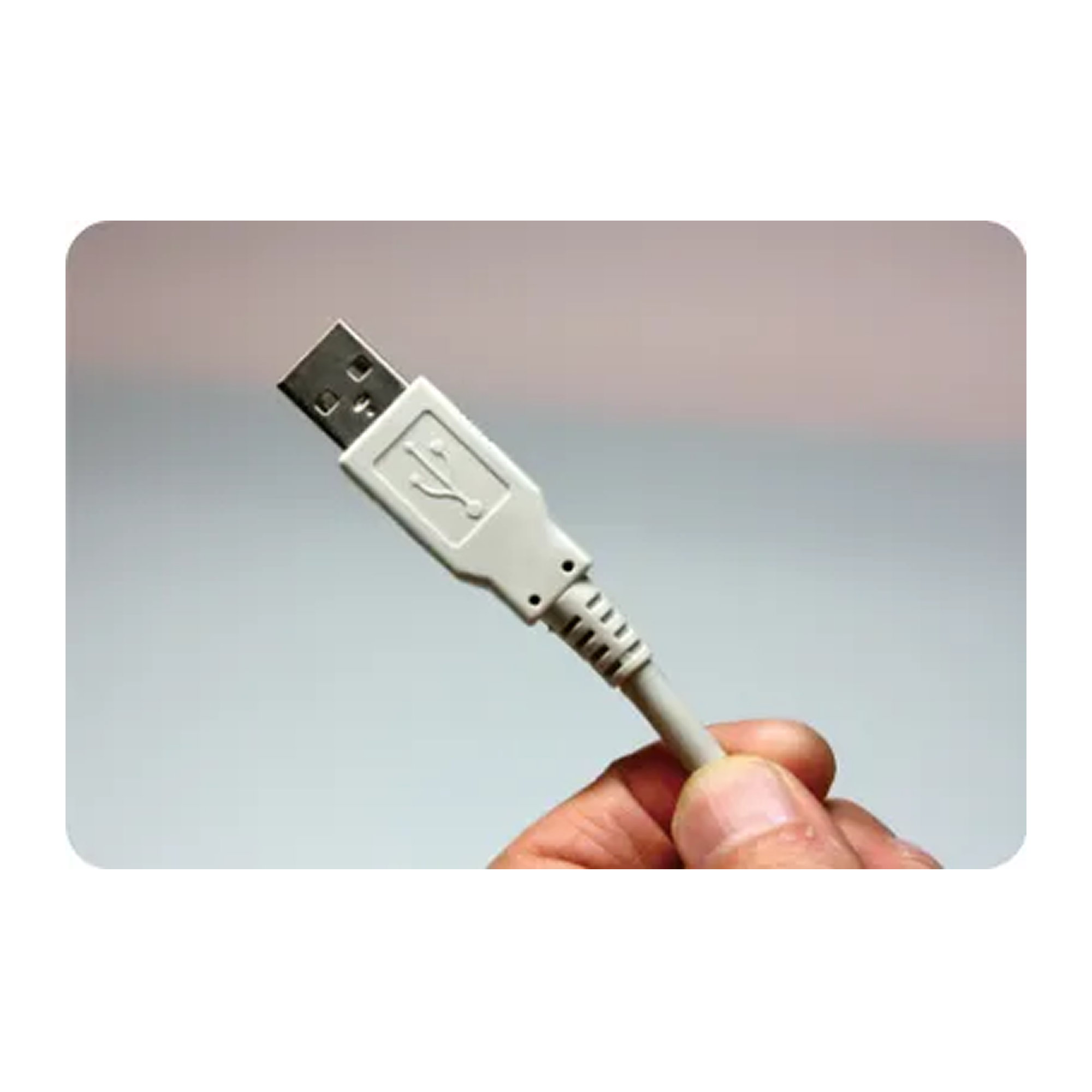Camstar USB Intraoral Camera