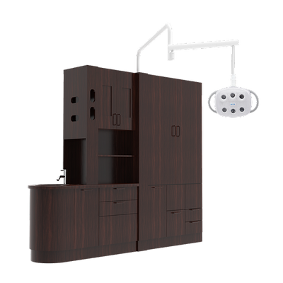 Cabinet Mount Amber II LED Dental Light (cabinet not Included)