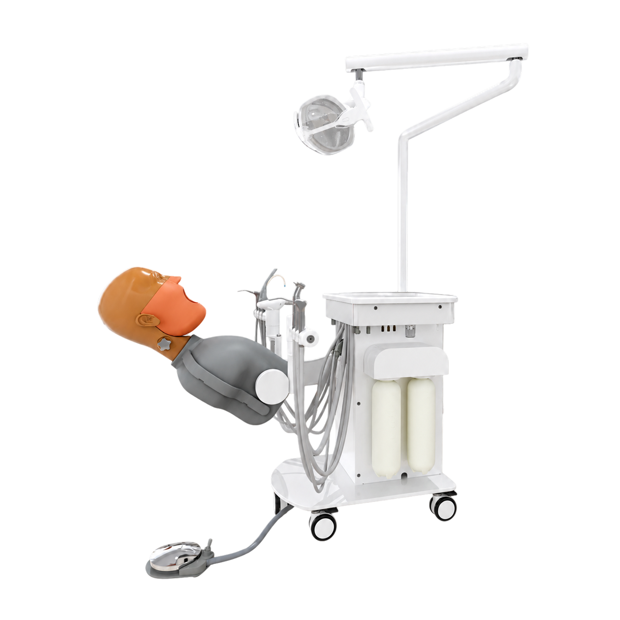 Dental Simulation System