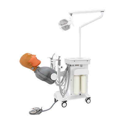 Dental Simulation System