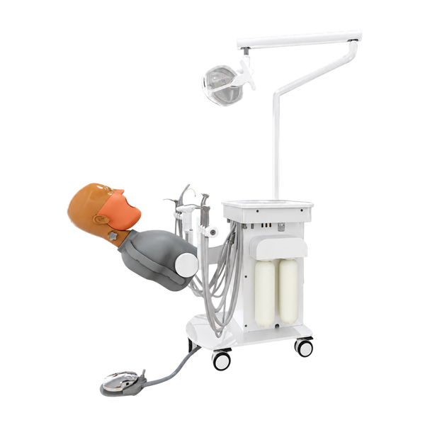 Dental Simulation System