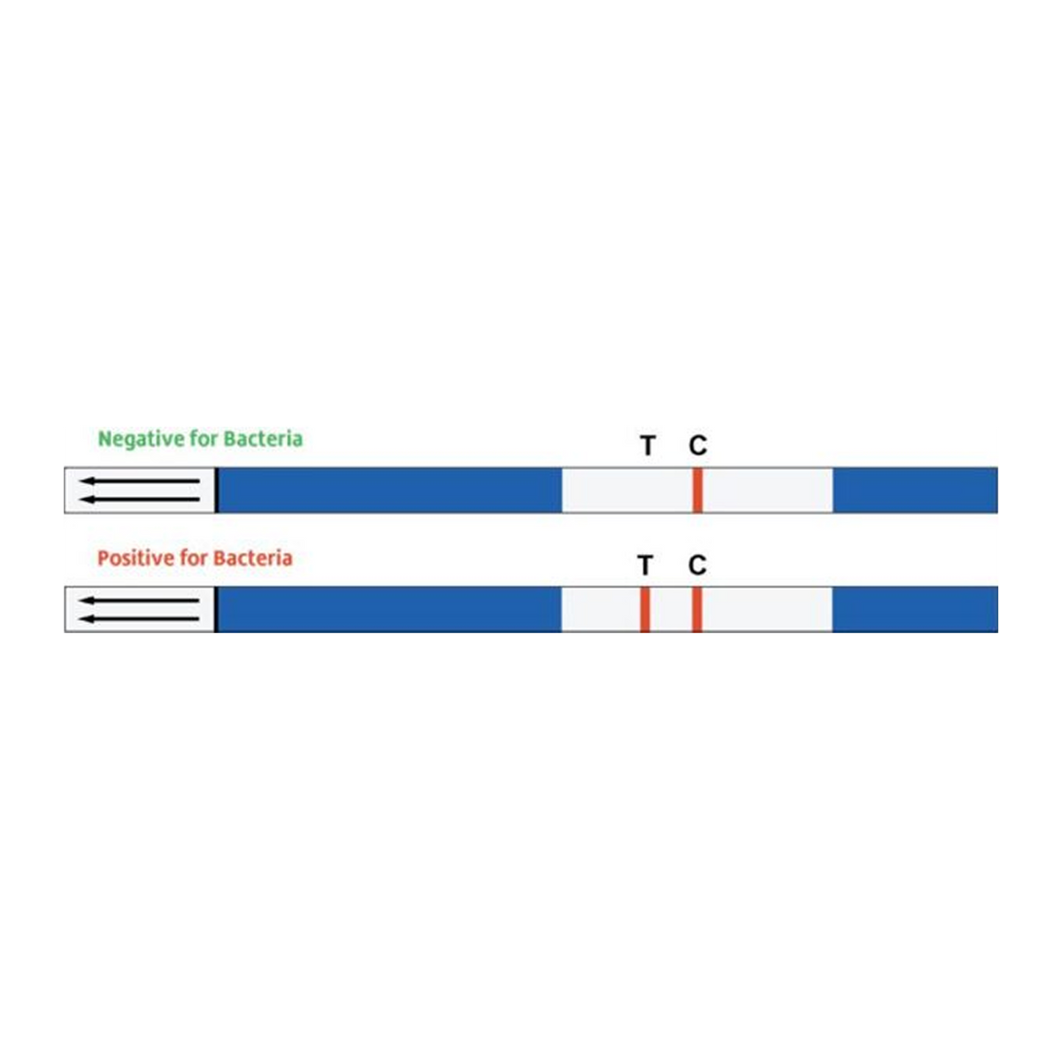 FASTCheck15® In-Office Waterline Test Strip