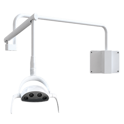 Wall Mount Whale LED Dental Light