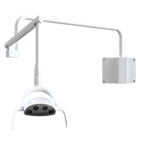 Wall Mount Whale LED Dental Light